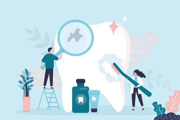 Professional  Holistic Dental Services in Everson, WA